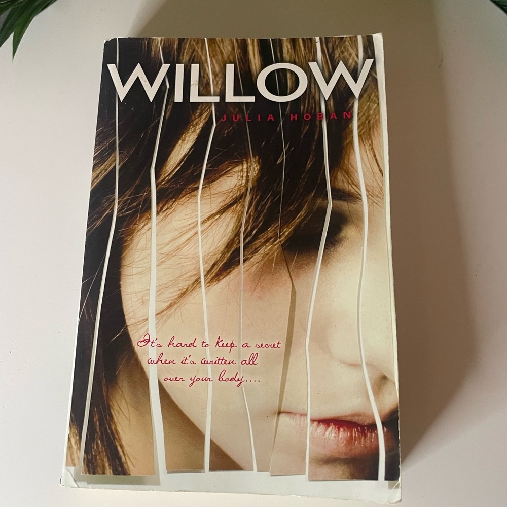 Willow, By Julia Hoban , Novel Fiction Paperback Book